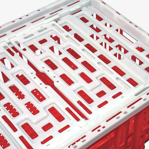 Jaula para gallinas Atomplast tapa cerrada