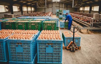 Cajas plasticas para huevos